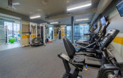 Thumbnail 16 of 24 - Fitness Room Gym