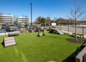 Thumbnail 12 of 24 - Dog Park at Seleno at Bridge Street, Huntsville, Alabama