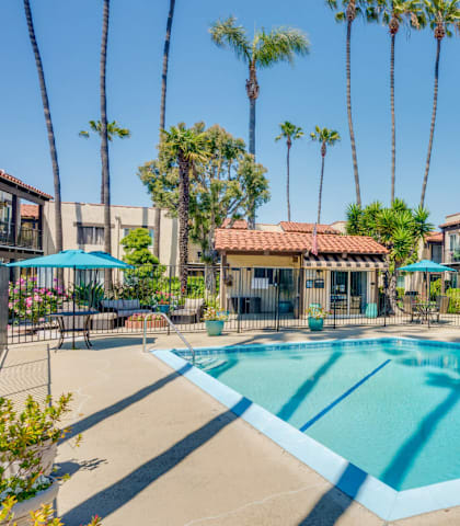 A swimming pool surrounded by palm trees and a building in the background.