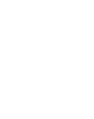 A black and white image of a branch with leaves.