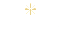 A logo with the word "SOLMERE" and a flower-like symbol above it, and the word "PHOENIX" below it.