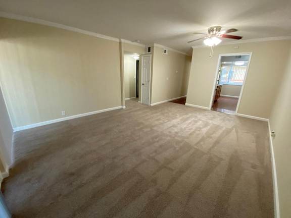 A room with a ceiling fan and a window with blinds.