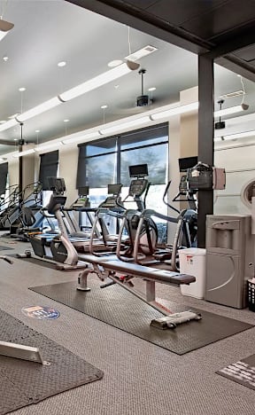 A gym with a variety of equipment including weights and cardio machines.