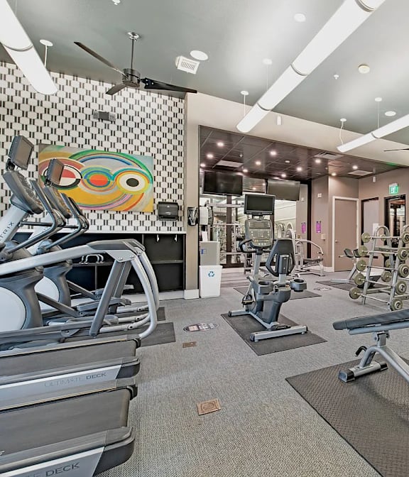 A set of dumbbells are lined up on a rack.