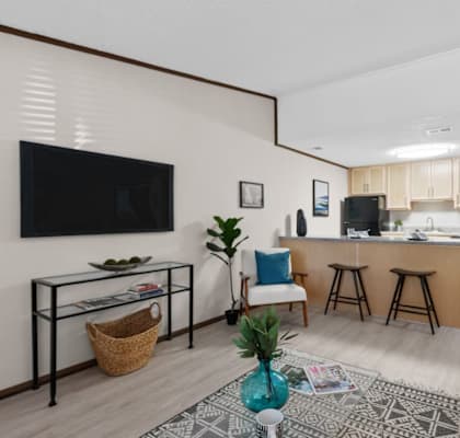 A modern living room with a flat screen TV, a coffee table, a potted plant, and a rug.