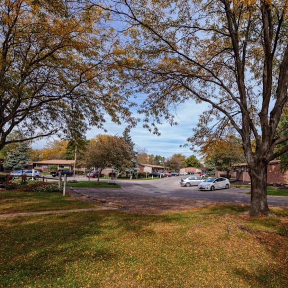 A tree with yellow leaves stands in front of a building.