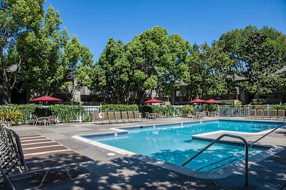 A pool surrounded by trees and chairs.