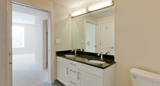 Double Raised Bowl Bathroom Sinks at 7 Cameron, Cambridge, MA 02140