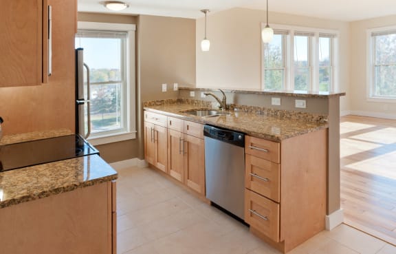 Designer Granite Countertops at Park87, Cambridge, MA 02138