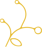 A yellow line drawing of a plant with three stems and leaves.