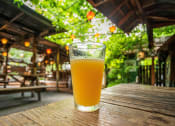 Thumbnail 4 of 10 - Close Up View of Beer Glass at Local Bar in Portland, Oregon