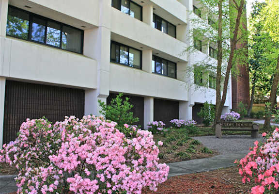 A white building with windows and a sign that says Brooks Travis.