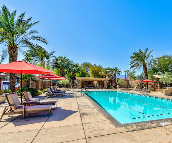 A large swimming pool surrounded by palm trees and lounge chairs.