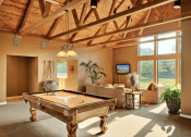 Thumbnail 9 of 25 - Clubhouse with pool table