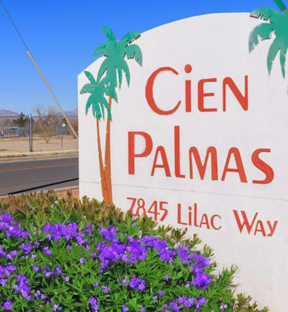a sign for a cien palmas with purple flowers