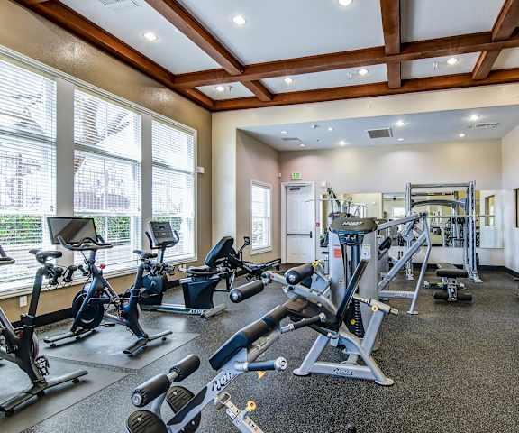 A gym with a variety of equipment including treadmills, weights, and exercise machines.