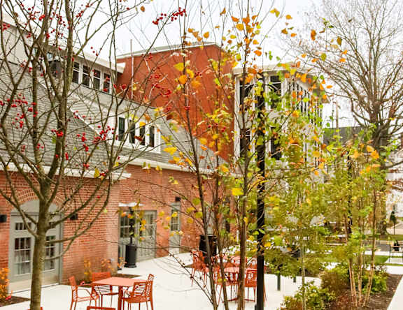 A courtyard with tables and chairs and trees.