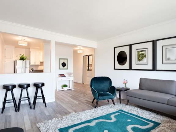 A living room with a grey couch, a blue chair, and a white rug.