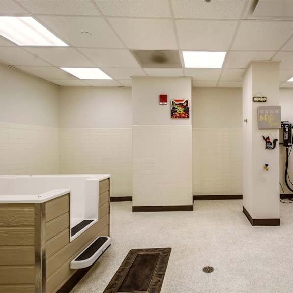 A clean, well-lit bathroom with a sink and a toilet.
