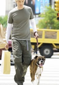 a man and his dog walking down the street with shopping bags