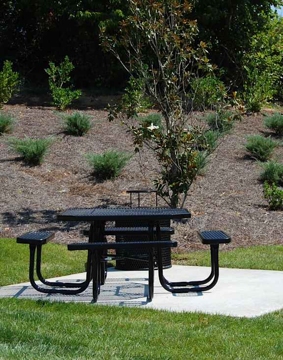 A black picnic table is in the middle of a grassy area with a mailbox to the right.