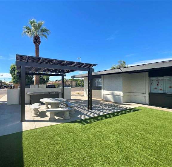 A palm tree stands under a pergola in a sunny outdoor setting.