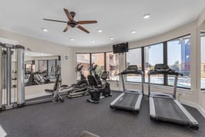 the gym has plenty of cardio equipment and windows