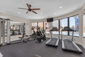 the gym has plenty of cardio equipment and windows