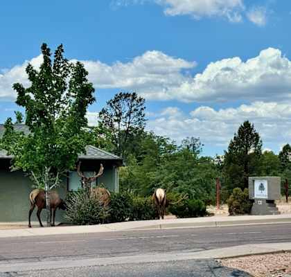 two horses are standing outside of a green building
