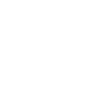 The image contains the text "THE NELSON".