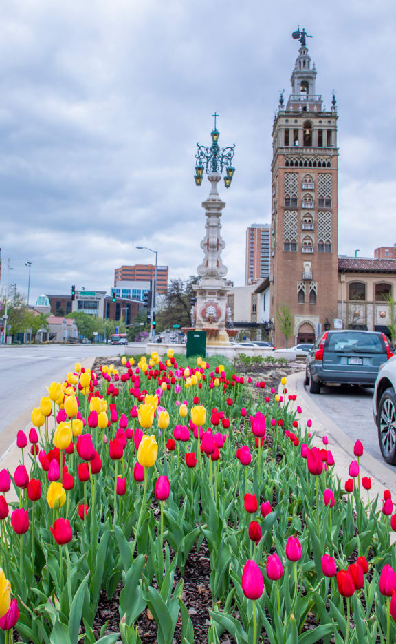 a garden of tulips in front of a clock tower