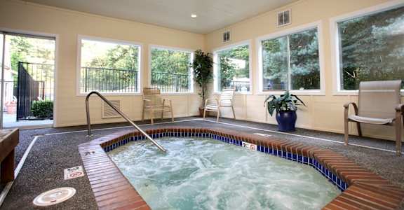 A hot tub in a room with a view of trees outside the windows.