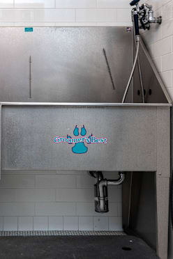 A stainless steel sink in a commercial kitchen.