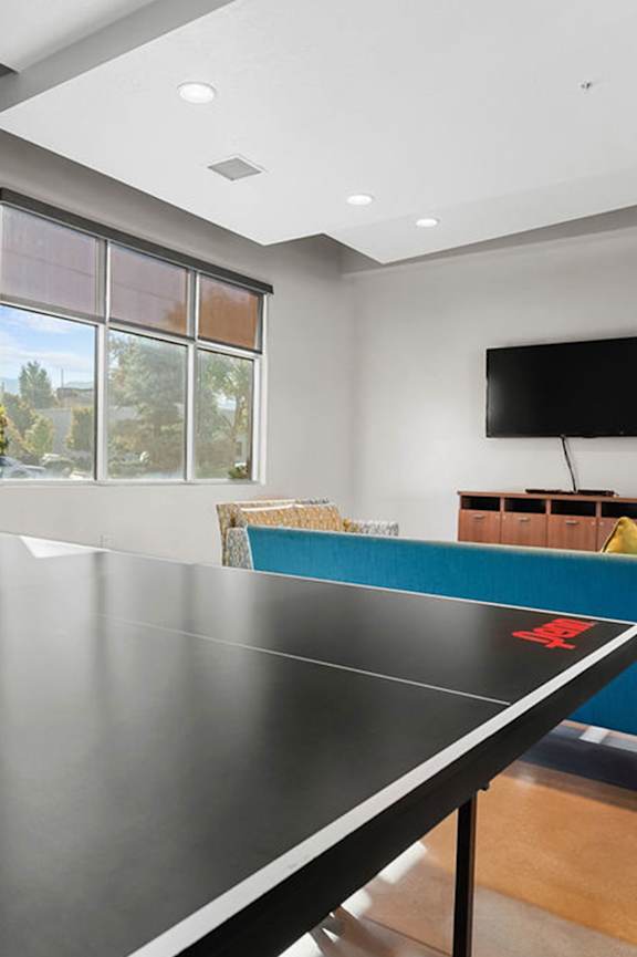 a ping pong table in a living room with a tv