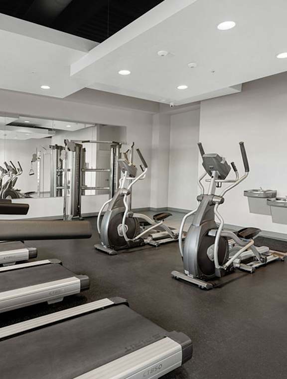 A gym with treadmills, elliptical machines, and other cardio equipment.