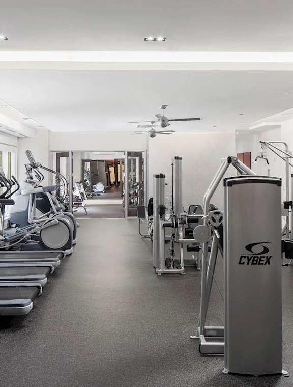 A gym with a variety of equipment including treadmills, weights, and a fan.