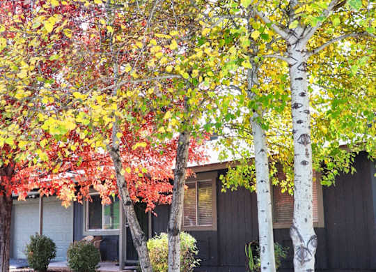 Exterior, Patio, Balcony, Courtyard, Landscaping