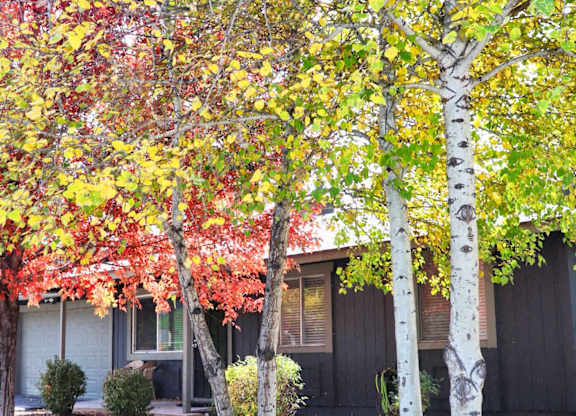 Exterior, Patio, Balcony, Courtyard, Landscaping