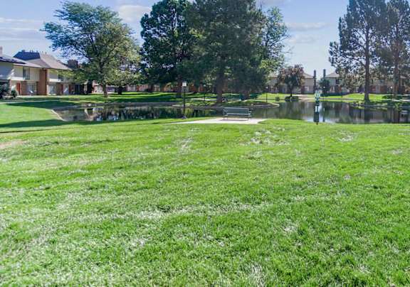 A sunny day in a park with a pond and trees.