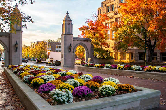 A beautiful flower bed in front of a stone archway.