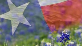 A white star on a flag is superimposed on a field of flowers.
