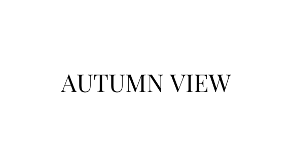 a clear black sky