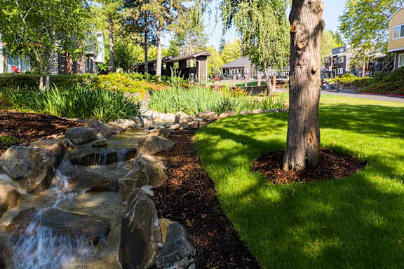Garden at Commons at Redwood Creek Apartments, Beaverton, Oregon
