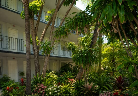 A building with a balcony is surrounded by green trees and plants.