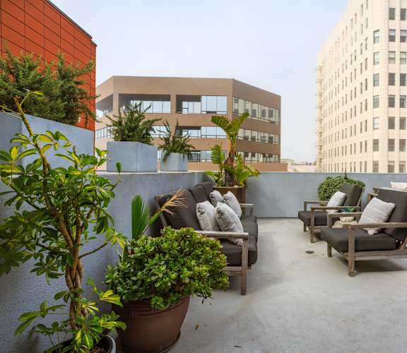 A patio with cushions and plants on a grey wall.