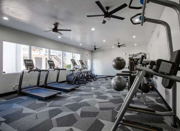 the apartments at masse corner 205 fitness room