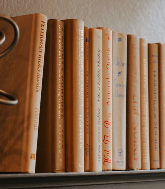 a row of books on a shelf next to a window
