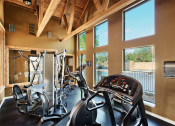 Thumbnail 22 of 25 - Fitness center