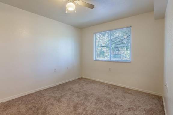 Carpeted Bedroom with Window and Ceiling Fan