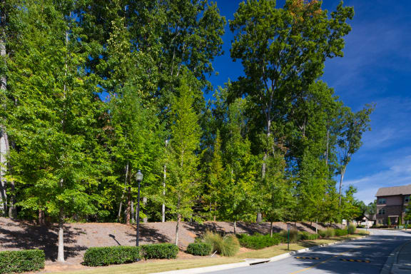 The Oaks at Johns Creek scenic wooded views